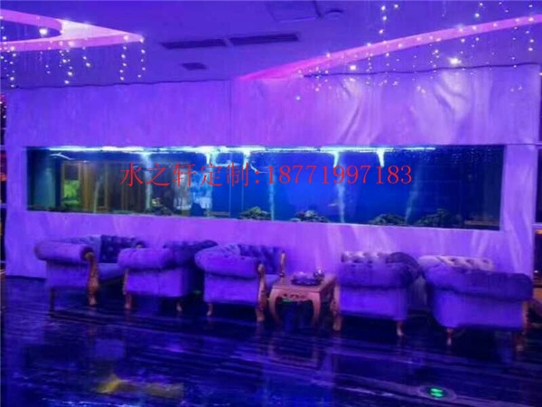 豪華魚缸