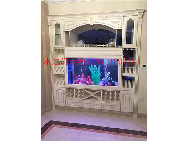 酒柜魚缸
